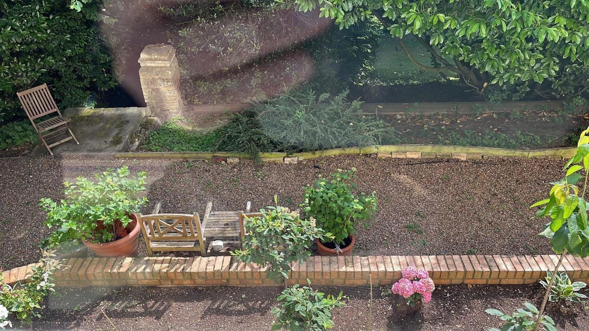 In Einer Mit Herrlichem Garten Und Katze Londres
